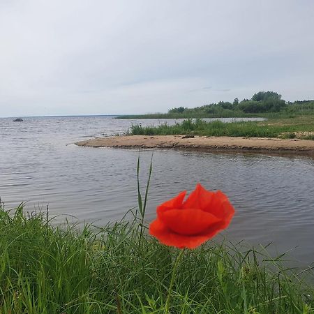 Hotel Paeevatalu Camping Vilusi Exteriér fotografie