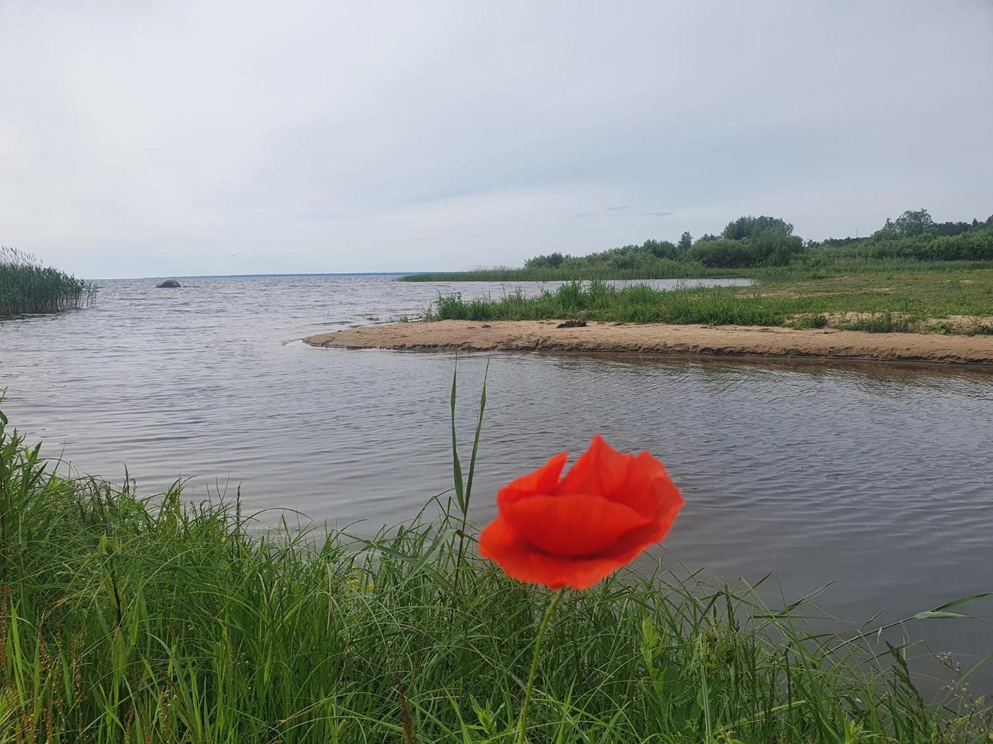 Hotel Paeevatalu Camping Vilusi Exteriér fotografie