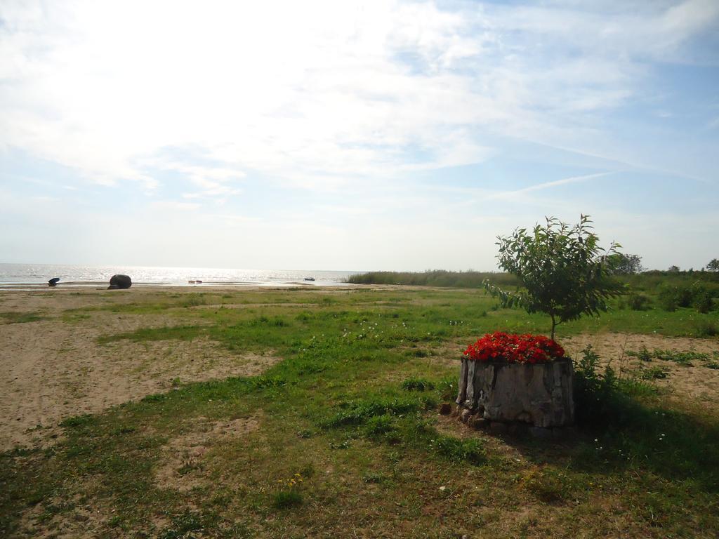 Hotel Paeevatalu Camping Vilusi Exteriér fotografie